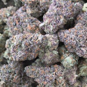 Berry gang strain - THC: 14% - 23%. Berry Punch is a sativa dominant hybrid strain (80% sativa/20% indica) created through crossing the iconic Romulan X Blueberry strains. When it comes to the flavor of this bud, the name tells the whole story. Berry Punch packs a smash of sweet and fruity berry flavors, from delicious strawberries to sugary raspberries to fresh ...